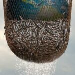 Морской Заговор: Тайна Устойчивого Рыболовства Постер Фильмы Нетфликс с Высоким Рейтингом